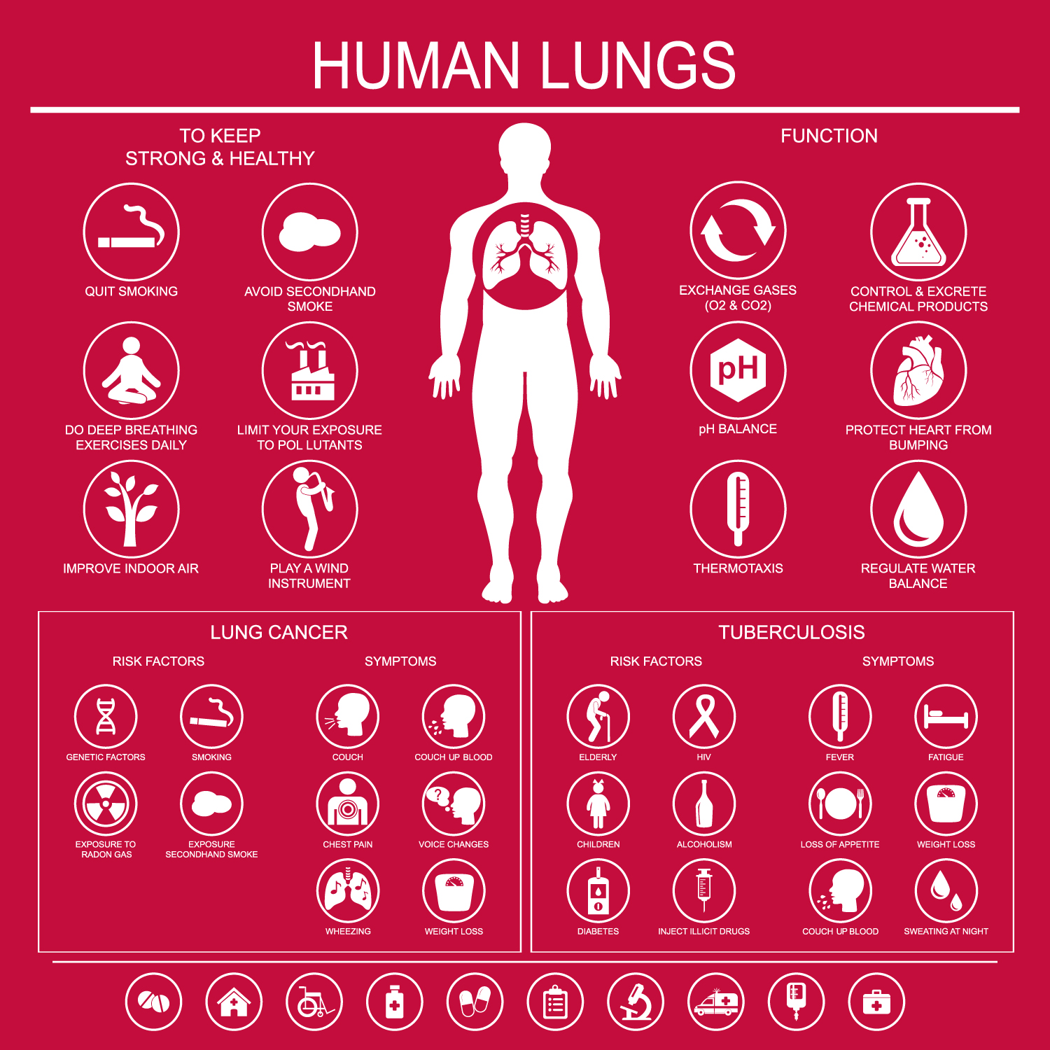 Infographic of the human lung