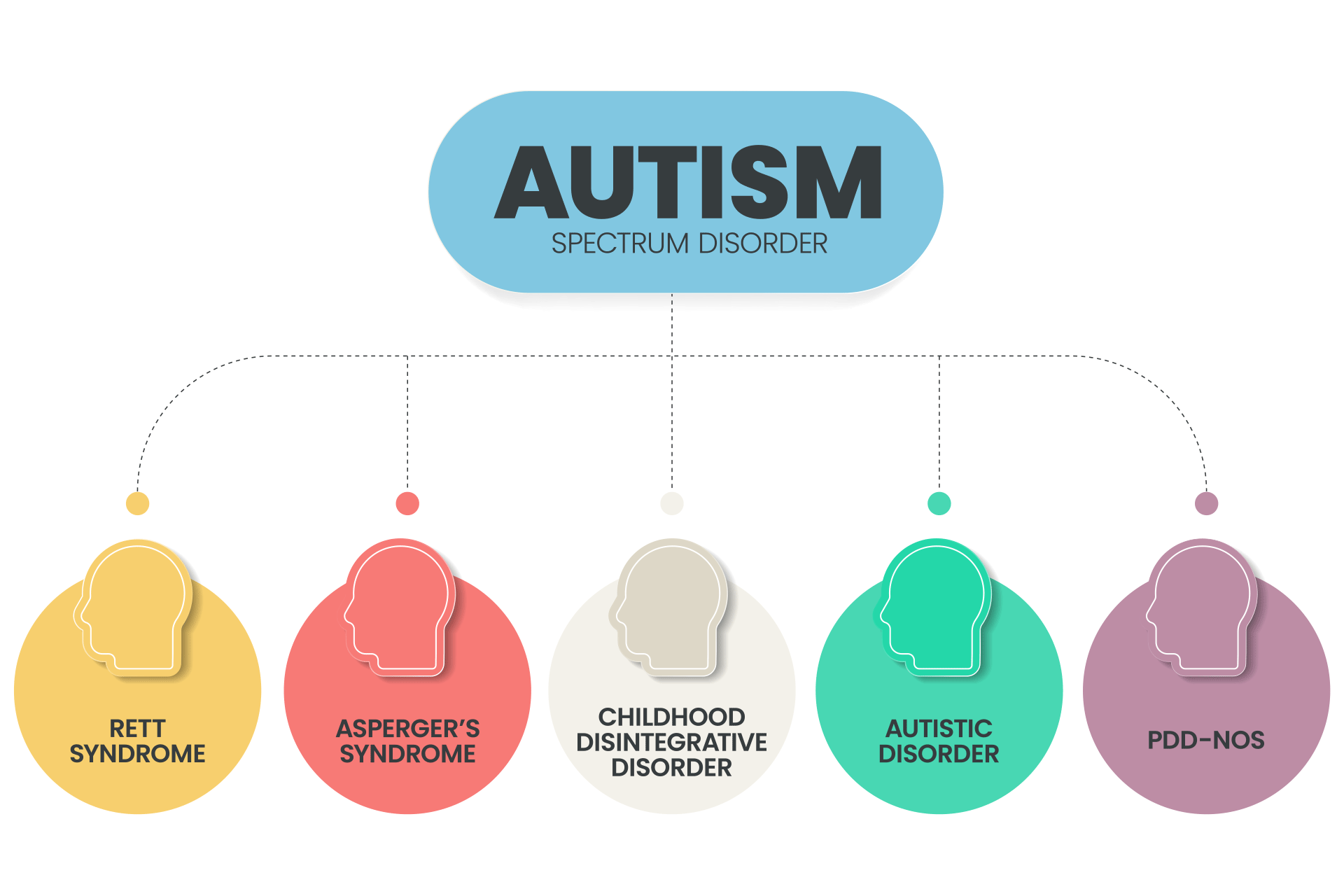 autism spectrum