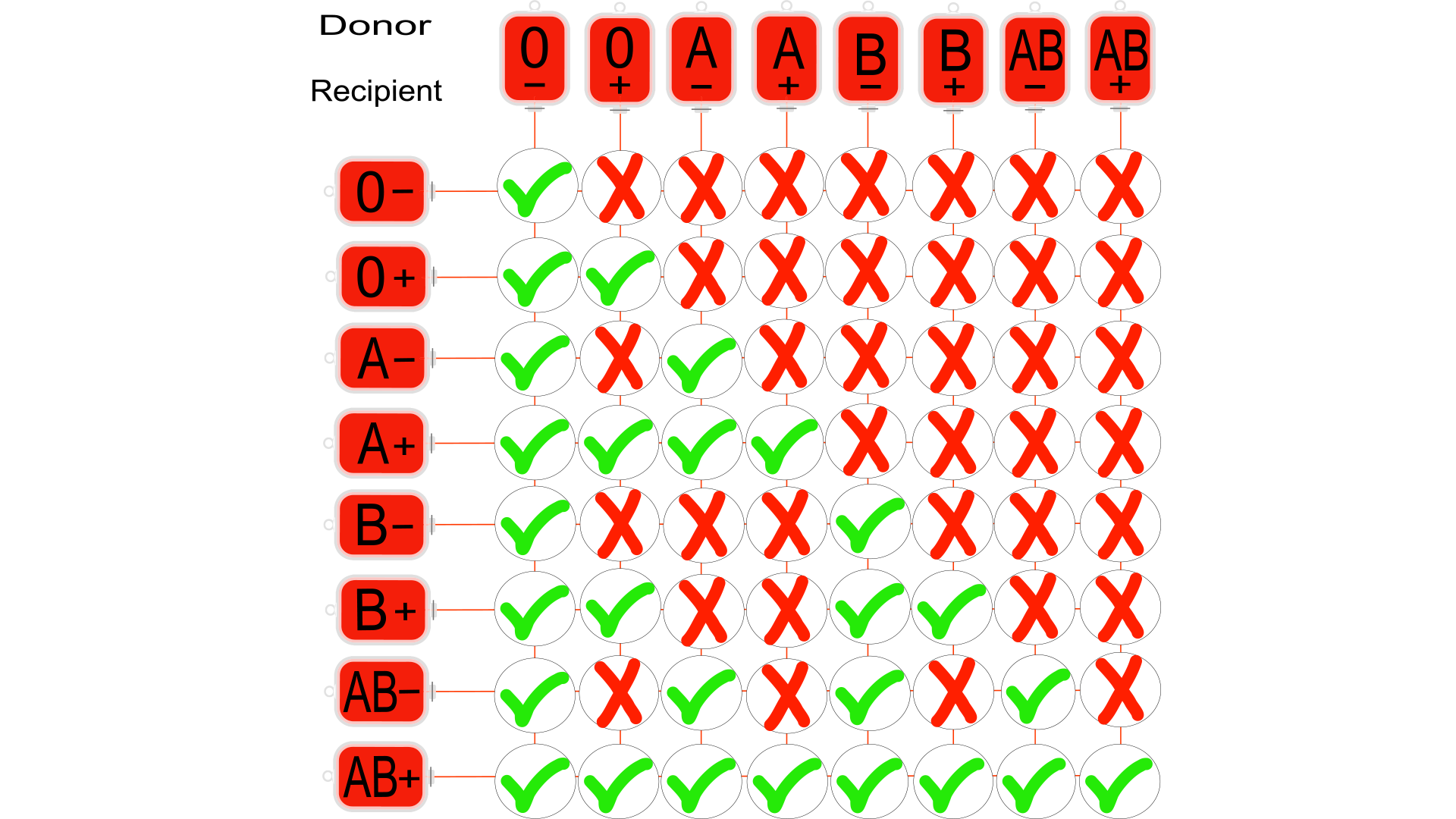 diagram of blood types with relationship between donors and recipients 