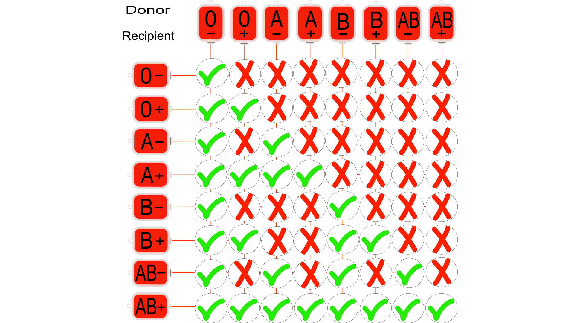 Hero-Blood-Type-Donor-Recipient diagram of blood types with relationship between donors and recipients