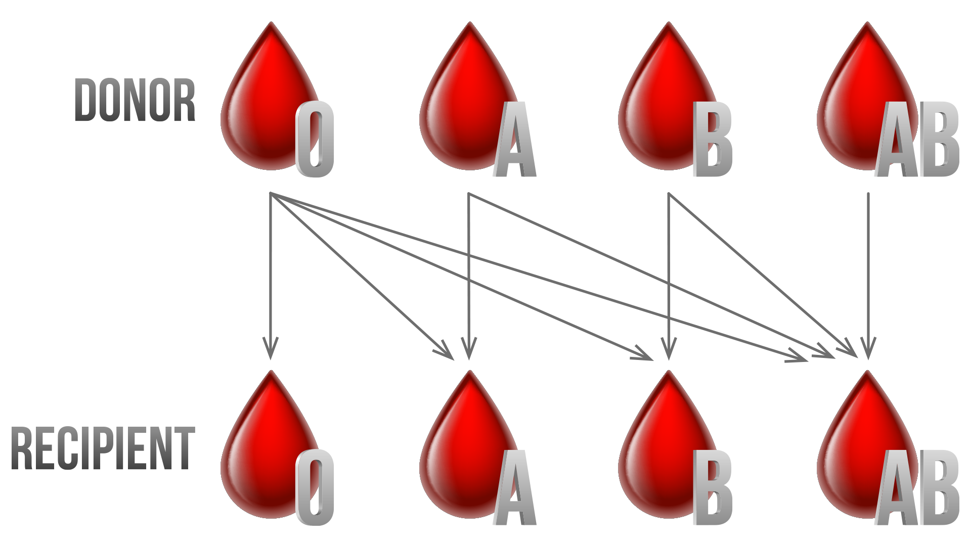 Why Is Blood Typing Significant Signature Health Services why-is-blood-typing-significant-signature-health-services