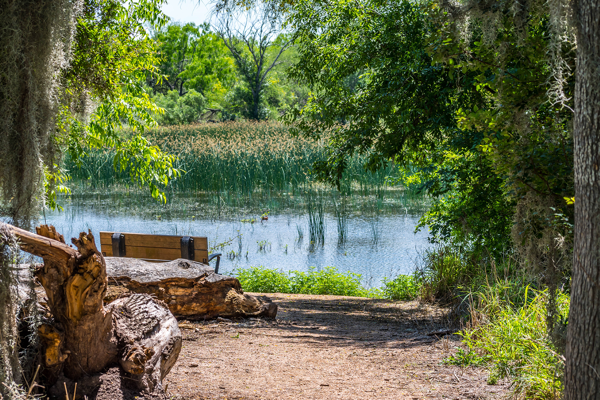 Hero-Brazoria-Nature-Refuge brazoria county