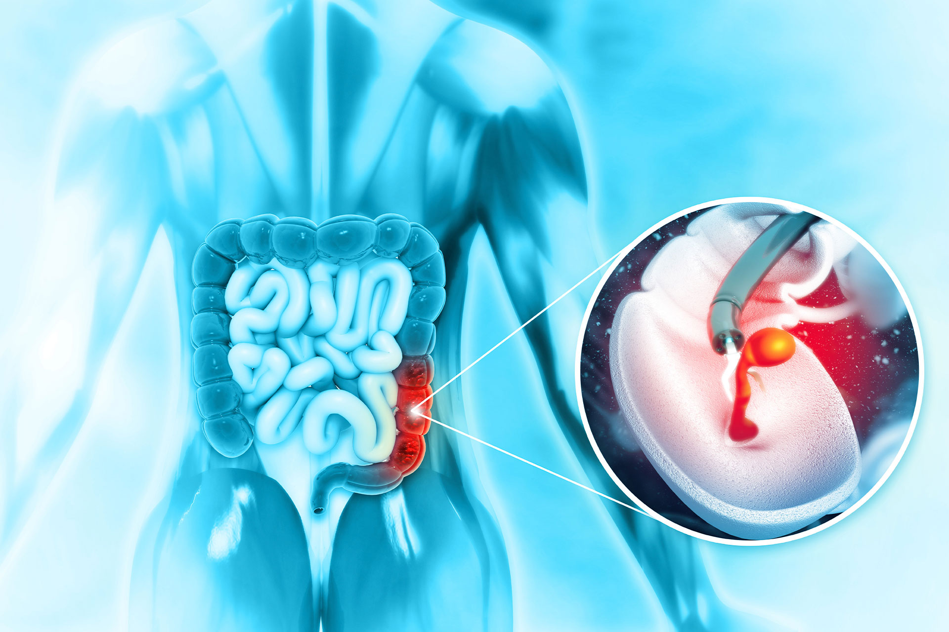 colon anatomy