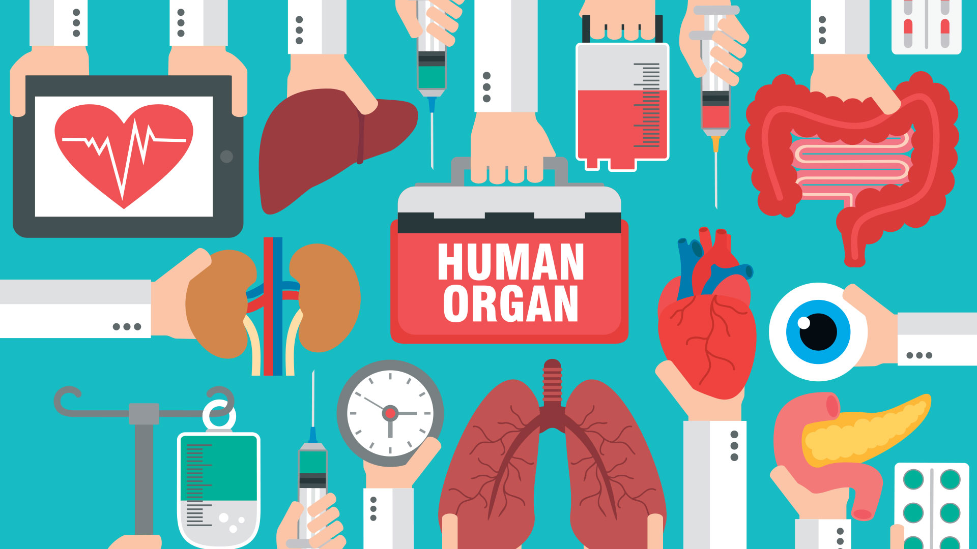 Hero-Donation-Organ-Grphic happy family in park