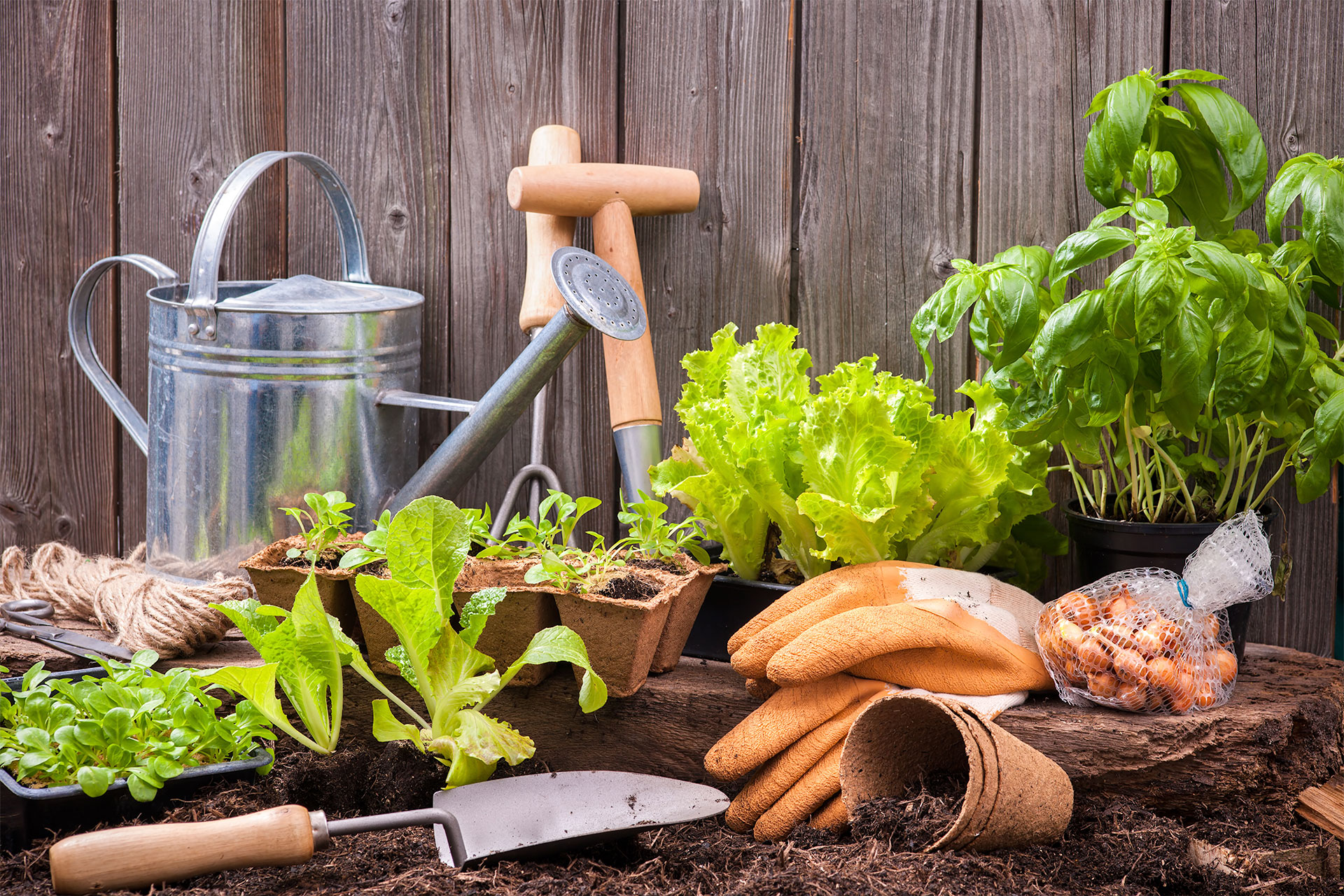 Hero-Gardening