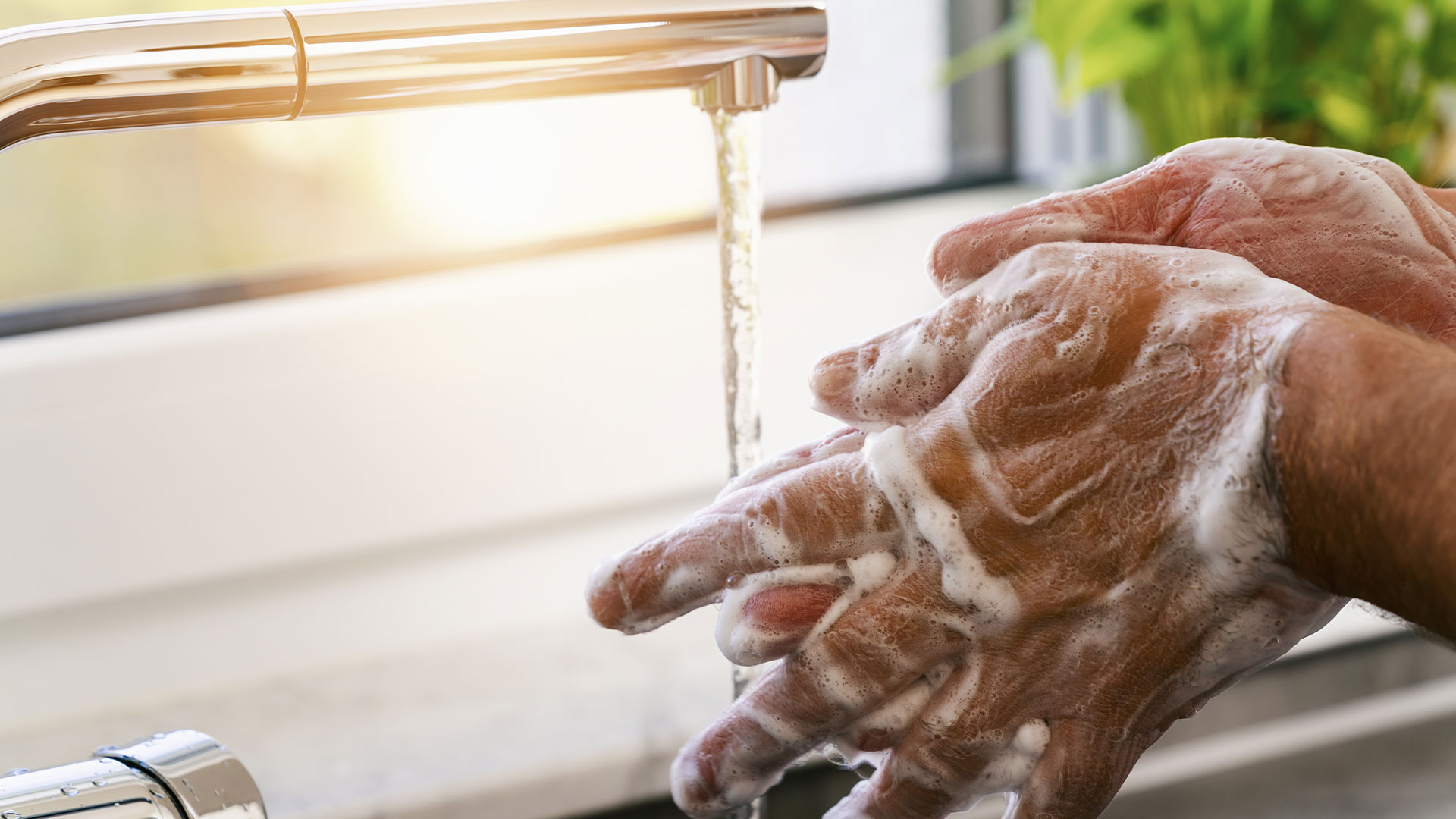 Properly wash hands