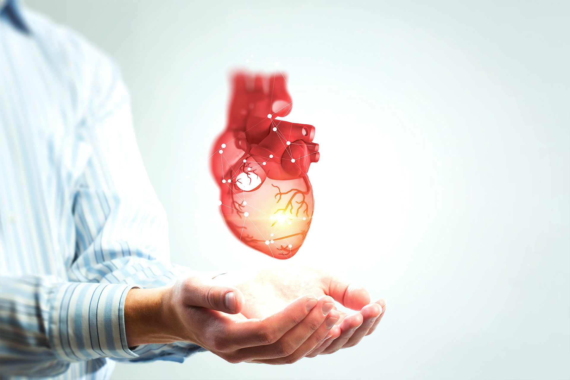 Hero-Heart-Doctor Two hands holding a heart