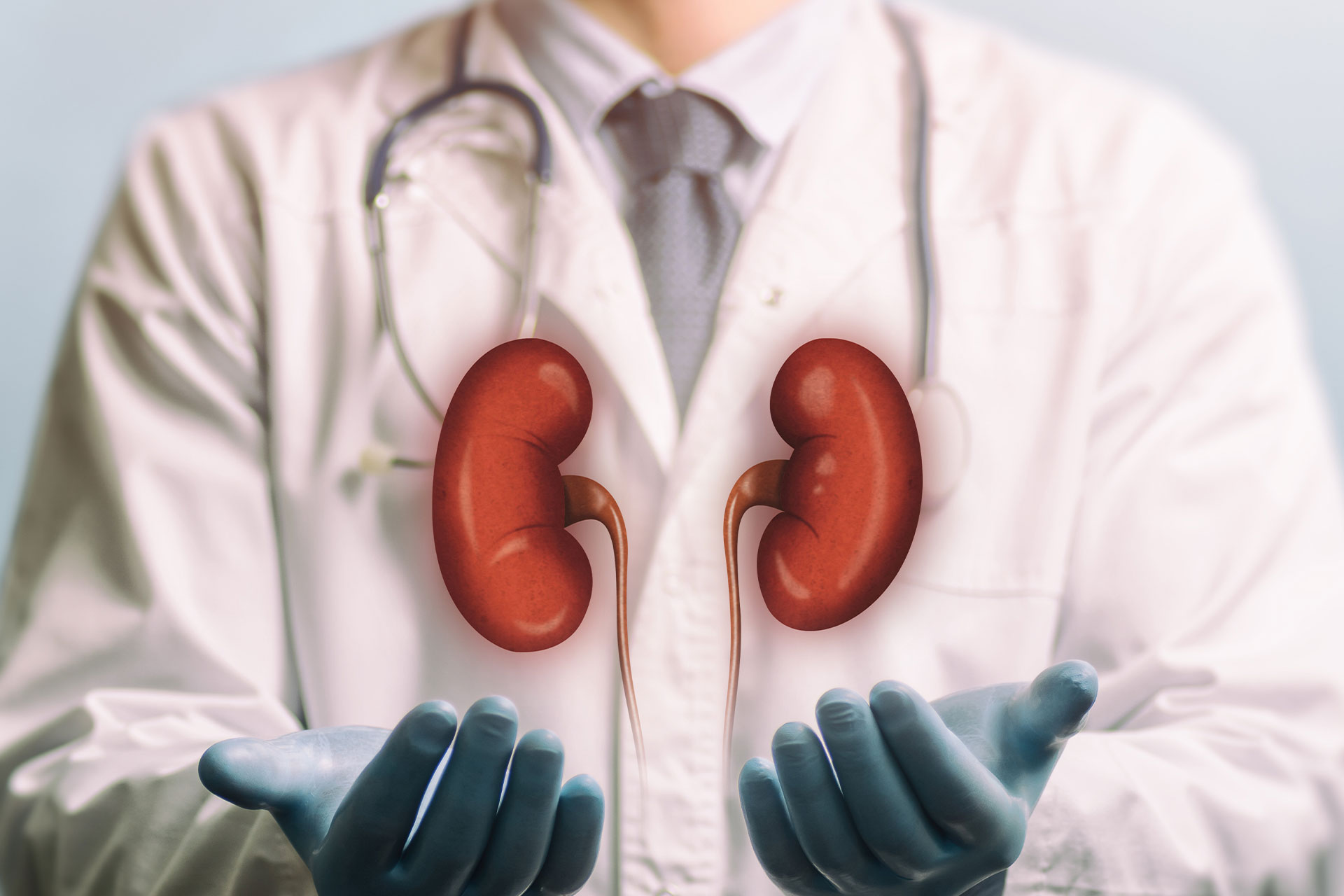 Hero-Kidney-Doctor Doctor holding a kidney
