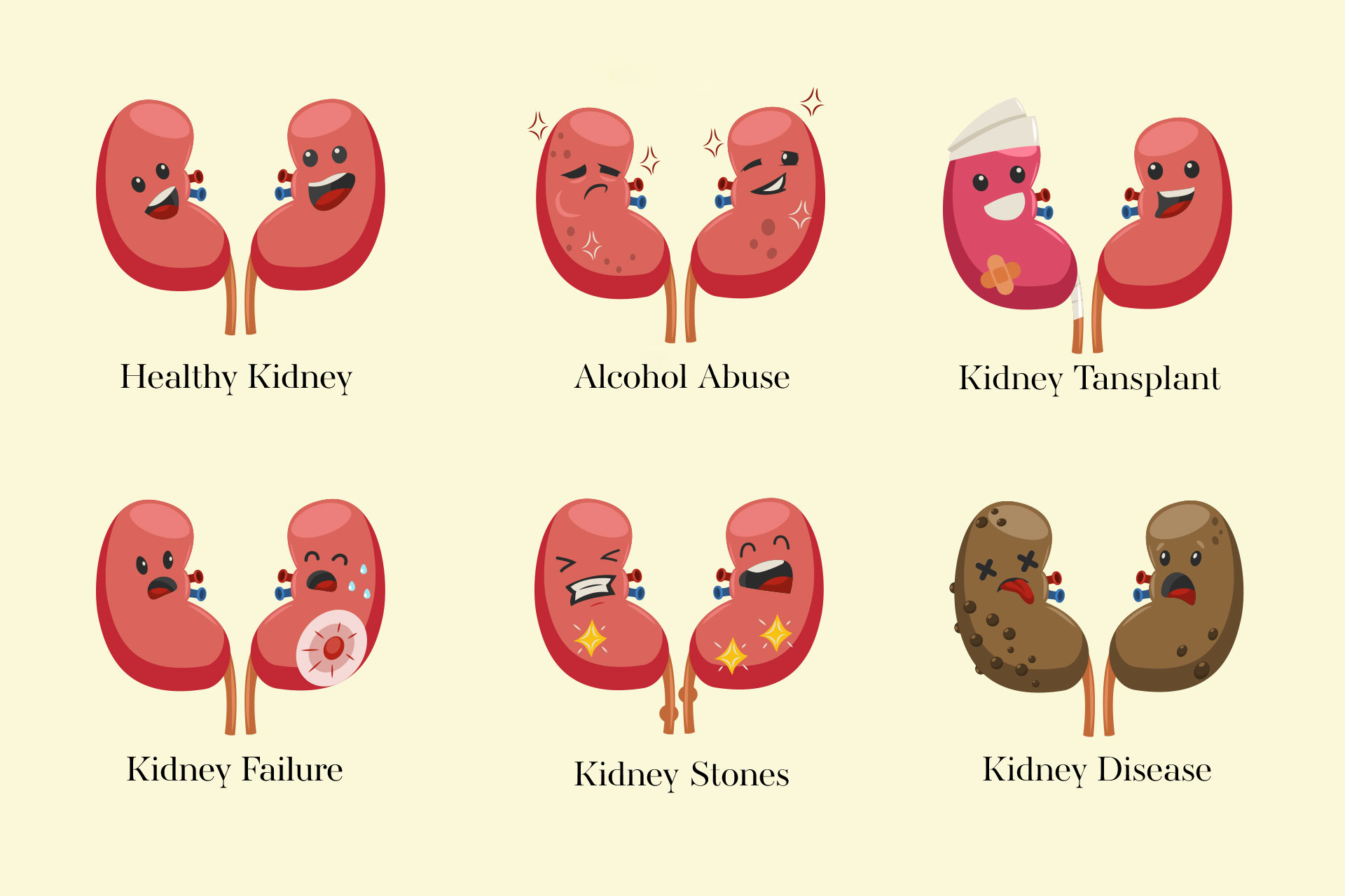 Diagram of different affects on the kidneys