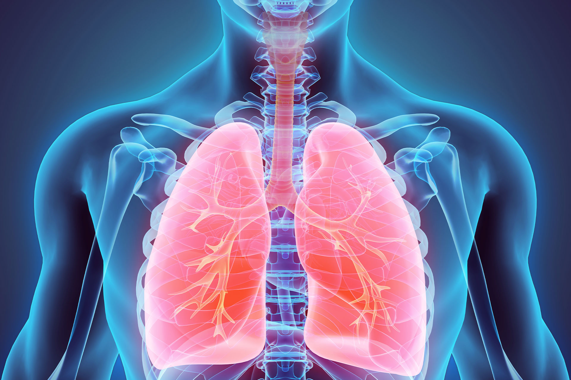 Hero-Lung-Graphic
