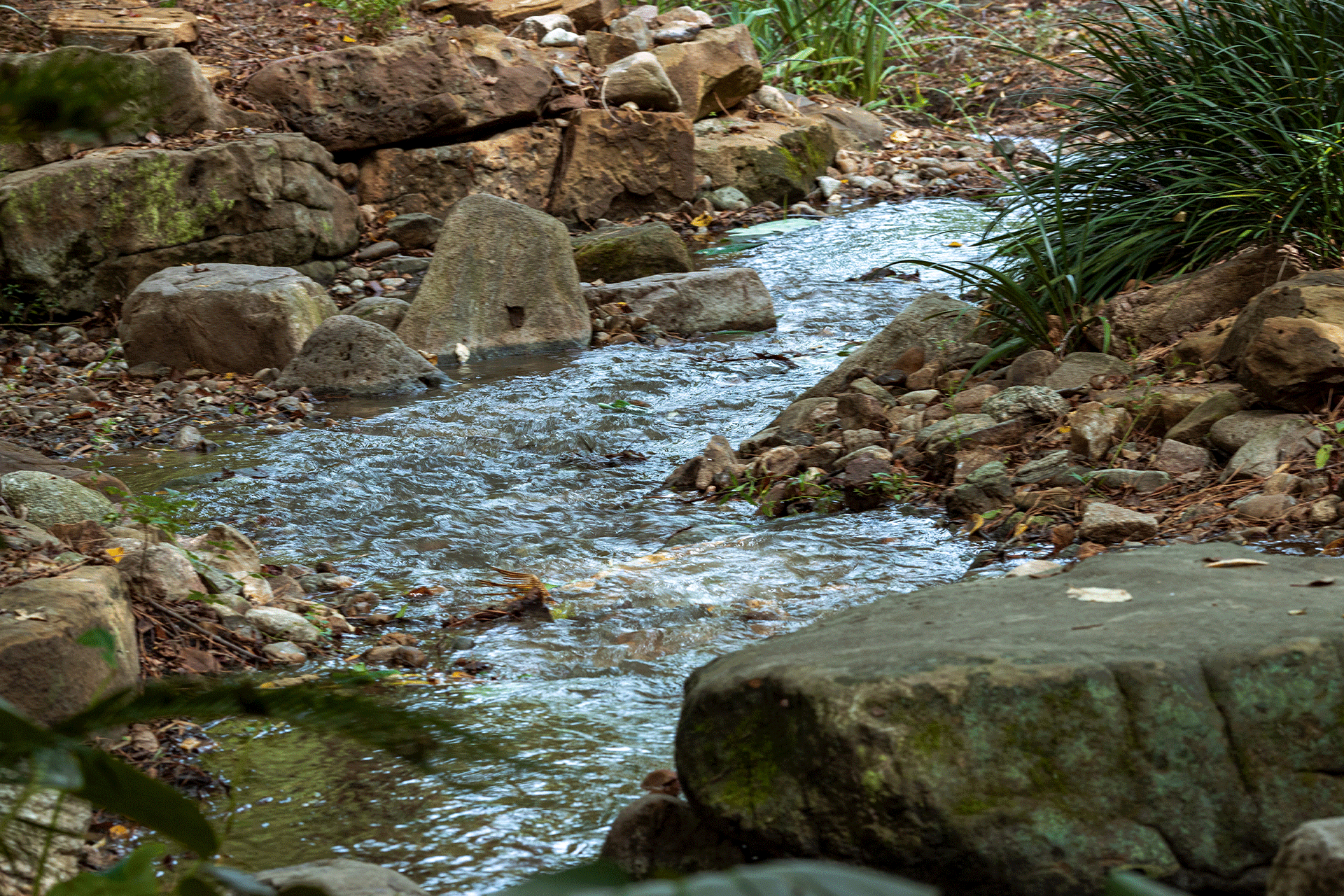 Hero-Montgomery-Nature montgomery county