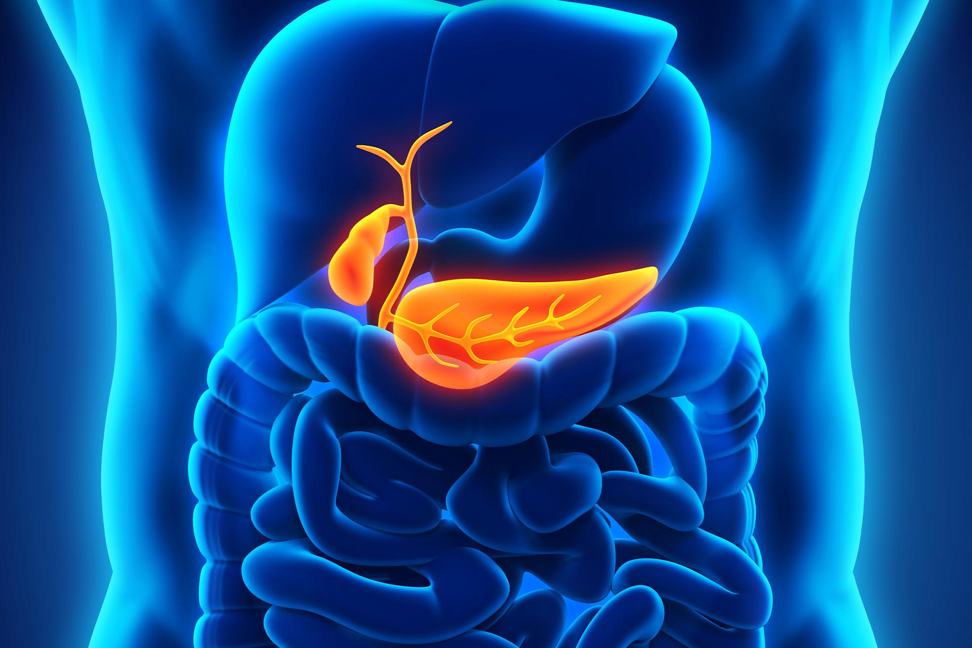 Hero-Pancreas-Gallbladder-Location gallbladder and bile duct cancer