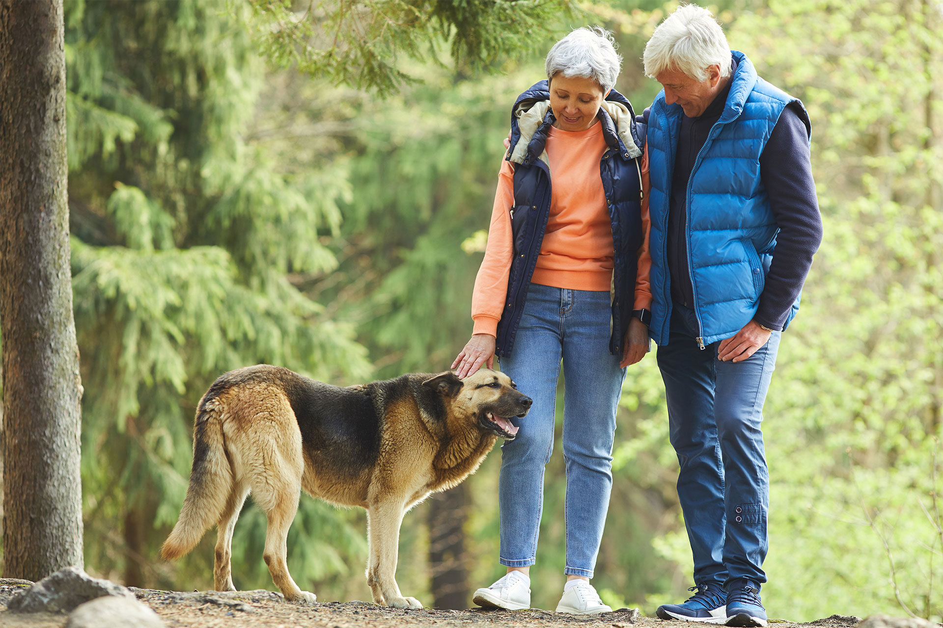 Couple walking with their dog