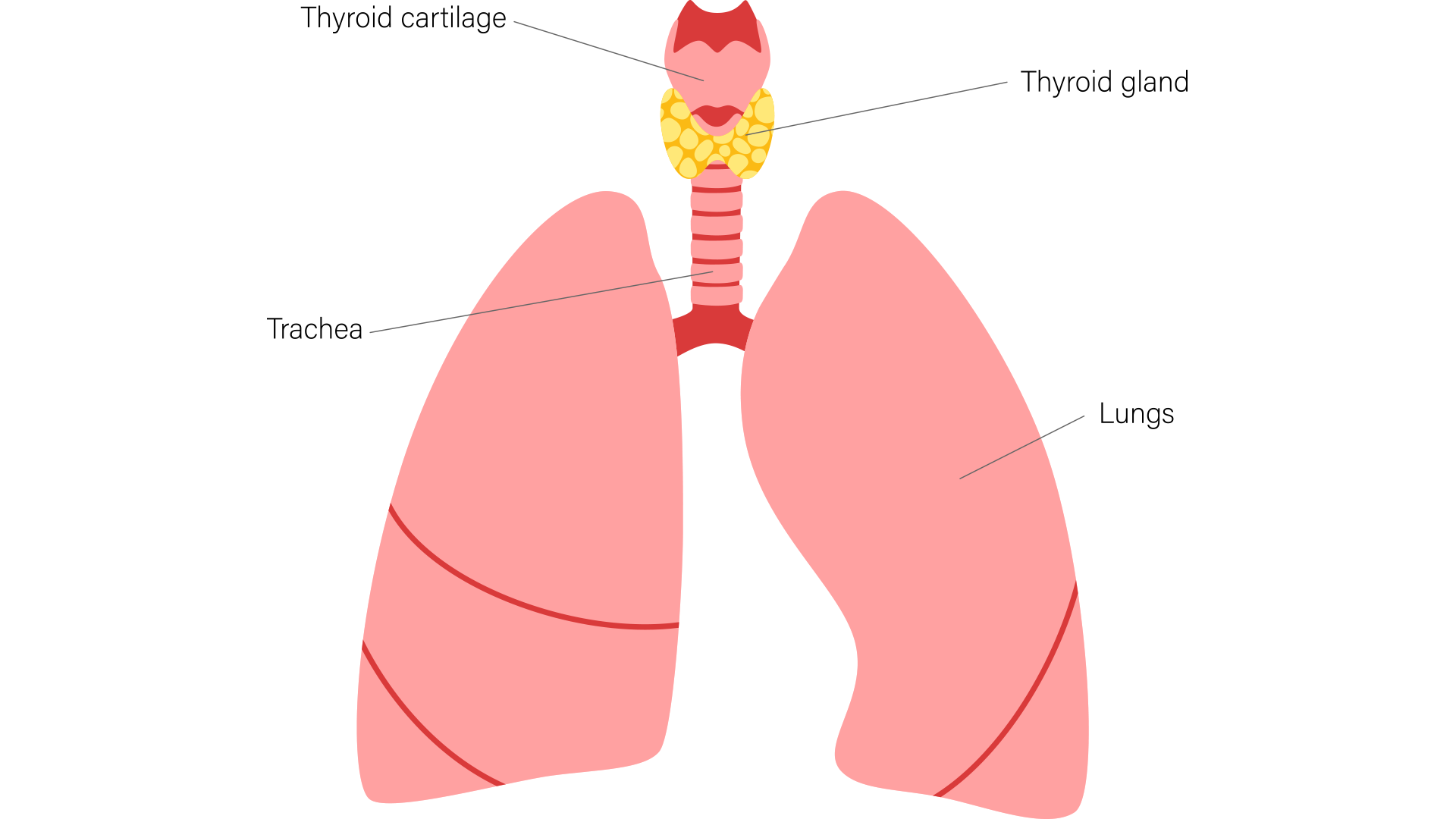 National Thyroid Awareness Month