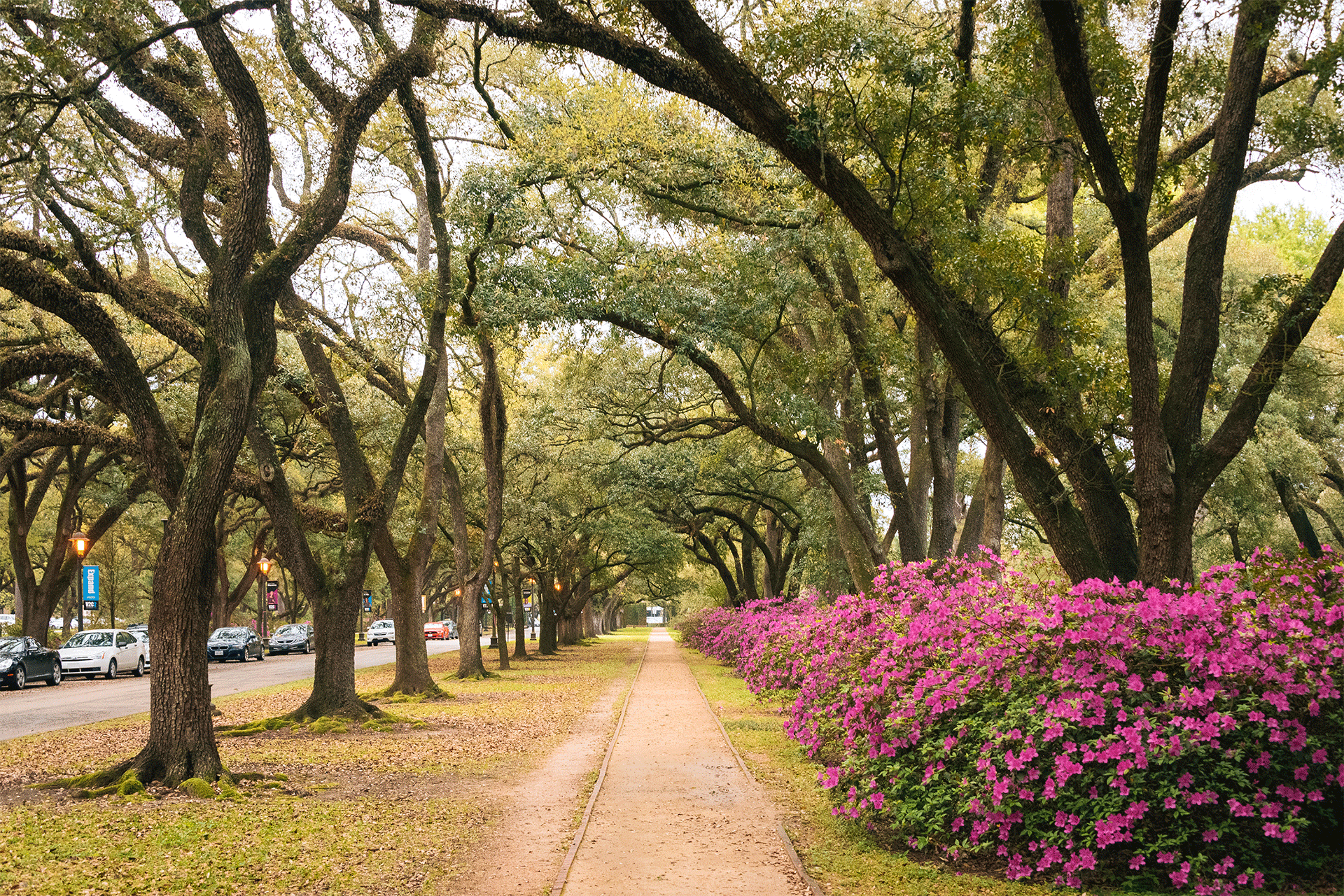 montgomery residential life 