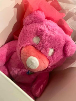 SHS-Cubby-Love-Bear-6